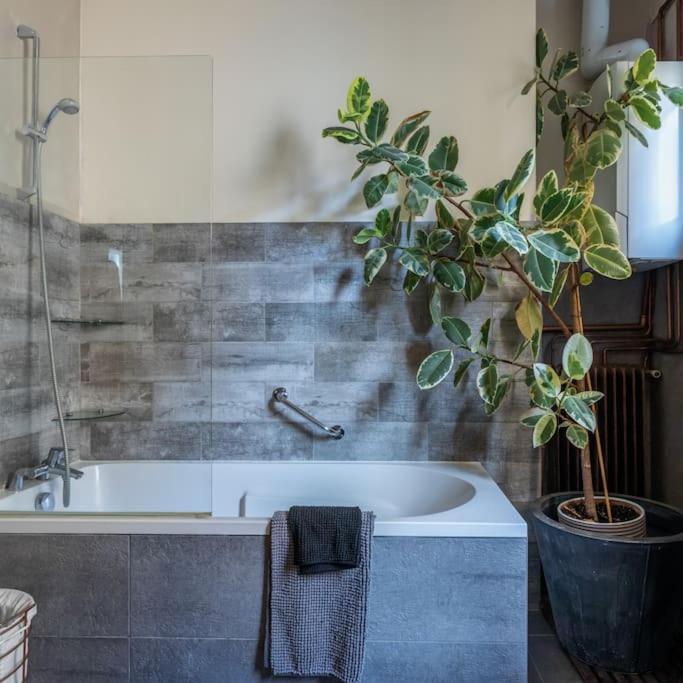 Boutique Saint Germain Appartement Parijs